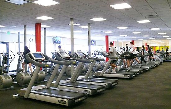 働き盛り世代の運動不足が深刻化~仕事や家事が忙しくても運動できる仕組みを作りませんか?~